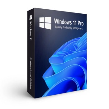 Windows 11 Pro - Chiavetta USB